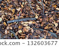 Fallen autumn leaves and dead branches 132603677