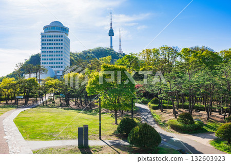 Seoul Namsan Park and N Seoul Tower 132603923