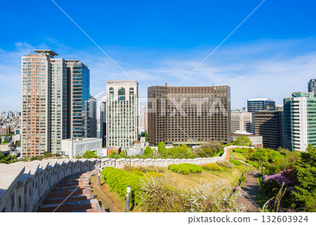 Namsan Park in spring, Seoul Namsan Park in spring, Seoul 132603924