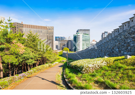 首爾南山公園的春天 首爾南山公園的春天 132603925