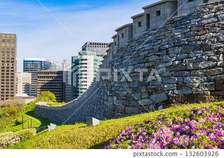 首爾南山公園的春天 首爾南山公園的春天 132603926
