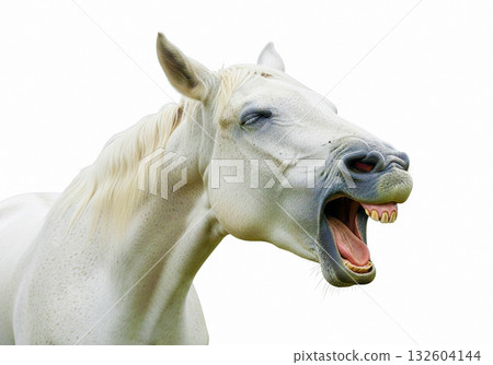 Laughing horse Laughing horse 132604144