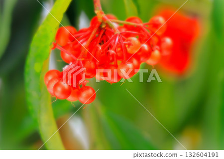 Many facts Many facts 132604191