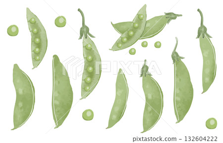 水彩手繪豌豆素材組（甜豌豆、青豌豆、青豌豆） 132604222