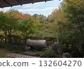 Japanese garden maple 132604270