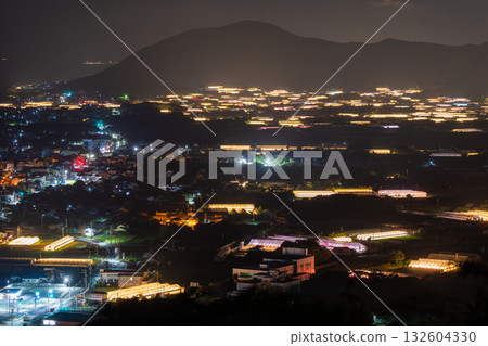 Aichi Prefecture: Illuminated chrysanthemums and a glowing greenhouse at night 132604330
