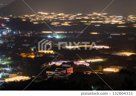 愛知縣：夜晚燈光照耀下的菊花和閃閃發光的溫室 132604331