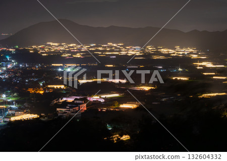 愛知縣:夜晚燈光照耀下的菊花和閃閃發光的溫室 愛知縣:夜晚燈光照耀下的菊花和閃閃發光的溫室 132604332