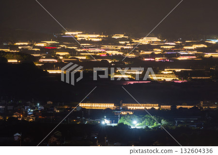 Aichi Prefecture: Illuminated chrysanthemums and a glowing greenhouse at night 132604336