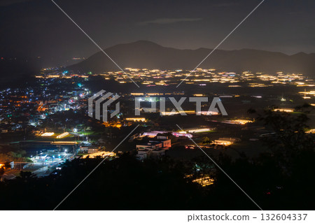 Aichi Prefecture: Illuminated chrysanthemums and a glowing greenhouse at night 132604337