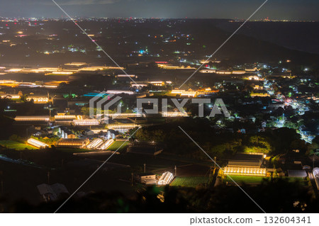 Aichi Prefecture: Illuminated chrysanthemums and a glowing greenhouse at night 132604341
