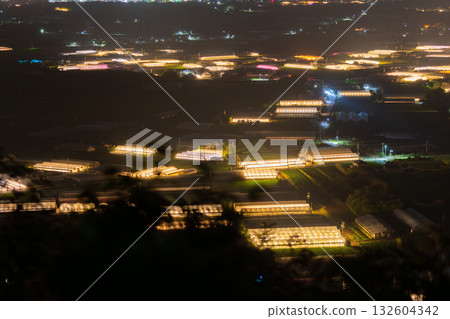 Aichi Prefecture: Illuminated chrysanthemums and a glowing greenhouse at night Aichi Prefecture: Illuminated chrysanthemums and a glowing greenhouse at night 132604342