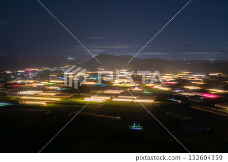 Aichi Prefecture: Illuminated chrysanthemums and a glowing greenhouse at night 132604359