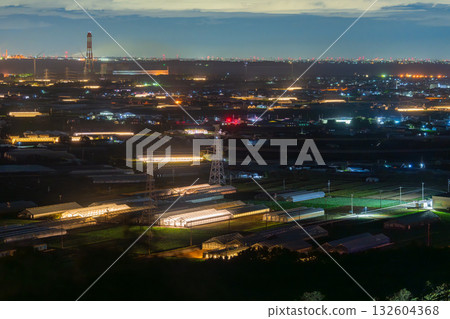 愛知縣：夜晚燈光照耀下的菊花和閃閃發光的溫室 132604368