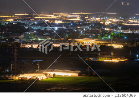 愛知縣:夜晚燈光照耀下的菊花和閃閃發光的溫室 愛知縣:夜晚燈光照耀下的菊花和閃閃發光的溫室 132604369