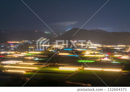 愛知縣：夜晚燈光照耀下的菊花和閃閃發光的溫室 132604371