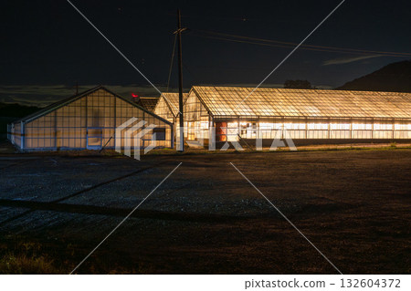 Aichi Prefecture: Illuminated chrysanthemums and a glowing greenhouse at night 132604372