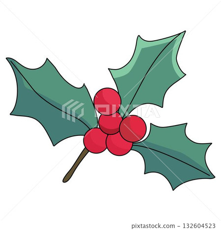 Christmas holly. Vector illustration 132604523