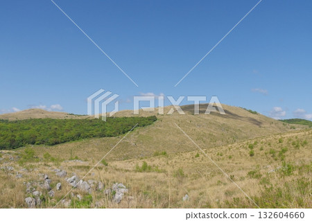 2025年春天,秋吉台的草都枯死了 2025年春天,秋吉台的草都枯死了 132604660