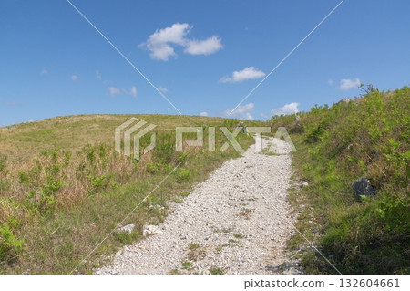 2025 年春季的秋吉台步道,仍殘留著枯草。 2025 年春季的秋吉台步道,仍殘留著枯草。 132604661