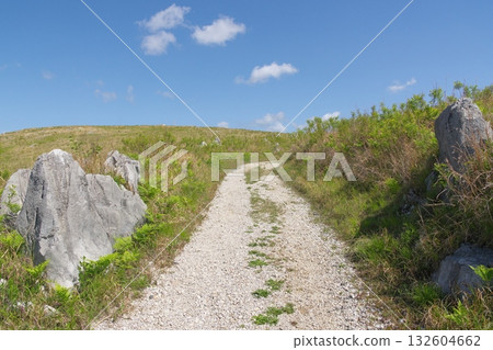 2025 年春季的秋吉台步道,仍殘留著枯草。 2025 年春季的秋吉台步道,仍殘留著枯草。 132604662