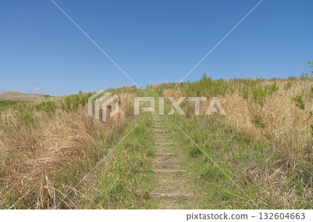 2025 年春季的秋吉台步道,仍殘留著枯草。 2025 年春季的秋吉台步道,仍殘留著枯草。 132604663