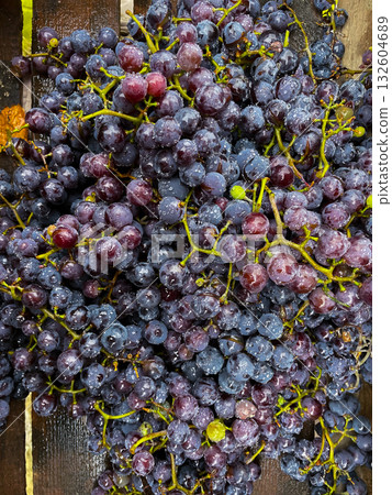 Ripe black grapes with water drops close-up on the fruits. Macro 132604689