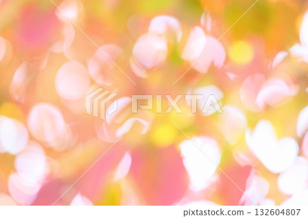 Out-of-focus dogwood leaves that have begun to color [Bokeh] [Blur] 132604807