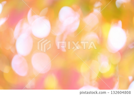 Out-of-focus dogwood leaves that have begun to color [Bokeh] [Blur] 132604808