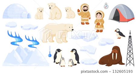Big Set of Polar Animals and Objects Big Set of Polar Animals and Objects 132605193