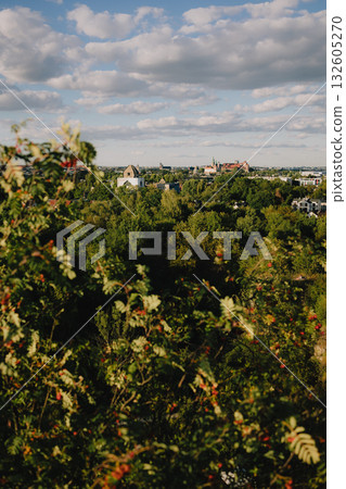 Branches with berries frame panoramic view of Krakow, Poland, highlighting the city blend of nature and urban development under dynamic sky. Krakow cityscape framed by berry laden branches Branches with berries frame panoramic view of Krakow, Poland, highlighting the city blend of nature and urban development under dynamic sky. Krakow cityscape framed by berry laden branches 132605270