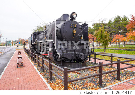 札幌市農業試驗園的 Degoichi (D51 11) 札幌市農業試驗園的 Degoichi (D51 11) 132605417