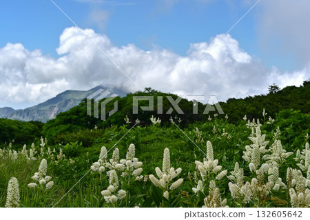 夏季白山風景 夏季白山風景 132605642