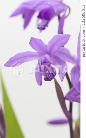 Silane Silane 132606015