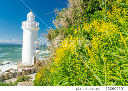 愛知縣：伊良岬燈塔，敦海半島頂端 132606301