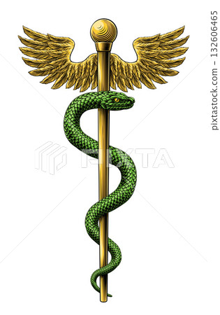 Rod of Asclepius Caduceus Medical Doctor Symbol 132606465