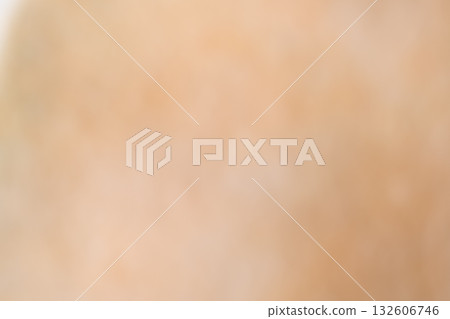 Pale beige soft gradient background Pale beige soft gradient background 132606746