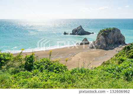 愛知縣:日之出石門和伊良子岬海灘的海岸線 愛知縣:日之出石門和伊良子岬海灘的海岸線 132606962