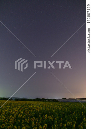 Starry sky at Himawari Village 132607129