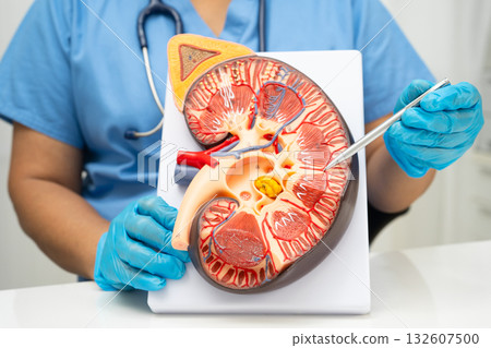 Chronic kidney disease, Asian woman with model for treatment urinary system, urology, Estimated glomerular filtration rate eGFR. Chronic kidney disease, Asian woman with model for treatment urinary system, urology, Estimated glomerular filtration rate eGFR. 132607500