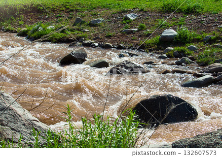 Mountain stream with muddy brown water flowing rapidly among stones and rocks. Sunlight reflects on waves and foam. Green grass and plants on the riverbank create a natural wild landscape 132607573
