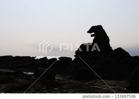 哥吉拉岩石，鹽崎，男鹿，秋田 132607596