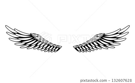Wings sketch. Stylized birds wings. Hand drawn contoured stiker wing in open position. Vector design elements in coloring style 132607628
