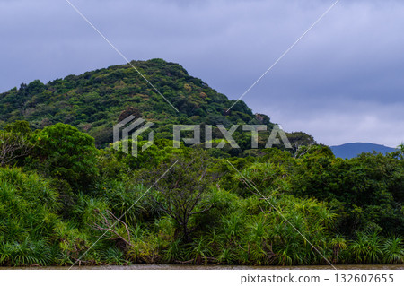 展現西表島熱帶地區豐富自然美景的景觀 展現西表島熱帶地區豐富自然美景的景觀 132607655