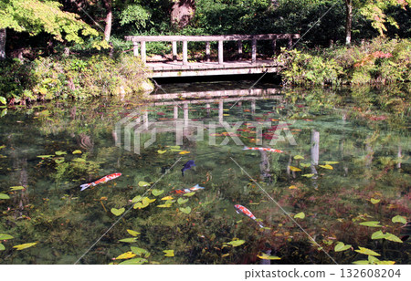 Pond of monet Pond of monet 132608204