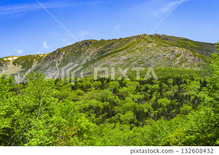 從小田越附近眺望早根山 132608432