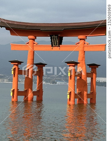 漂浮在海上的嚴島神社巨型鳥居（宮島） 132608969
