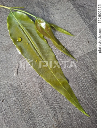 A close-up macro shot of a long, green leaf with water droplets on a textured, gray surface A close-up macro shot of a long, green leaf with water droplets on a textured, gray surface 132609213