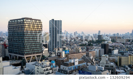 從池袋的塔樓公寓看到的景色 132609294