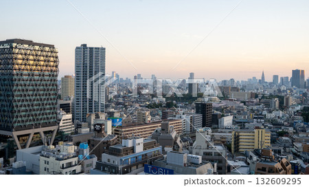 從池袋的塔樓公寓看到的景色 132609295